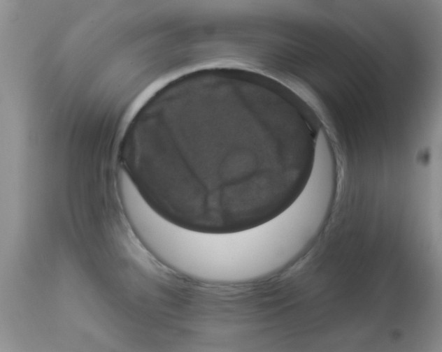 X0000113951340200910231958