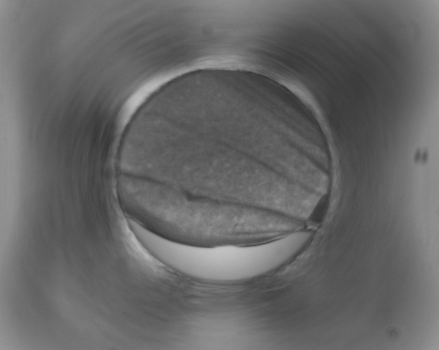 X0000113951344200910231958