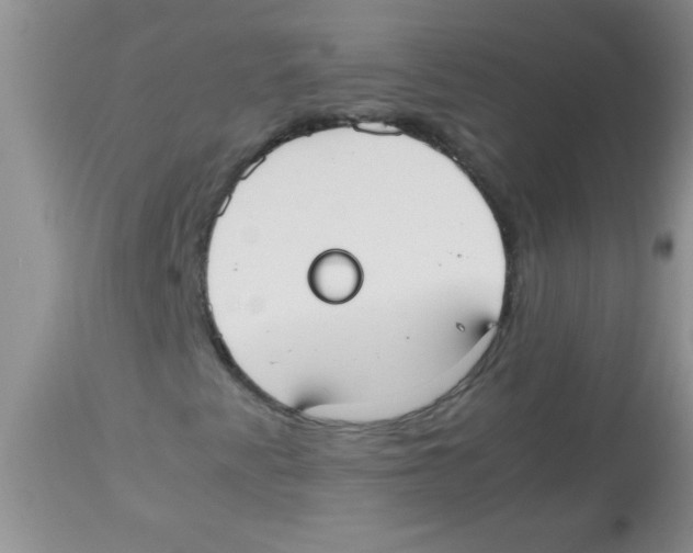 X0000113951345200910231957