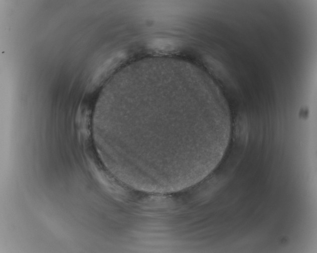 X0000113951346200910231957