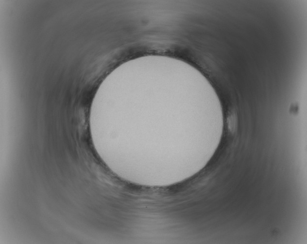 X0000113951347200910231957