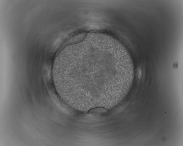 X0000113951348200910231957