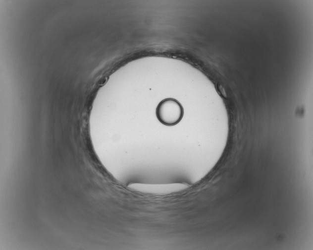 X0000113951349200910231957
