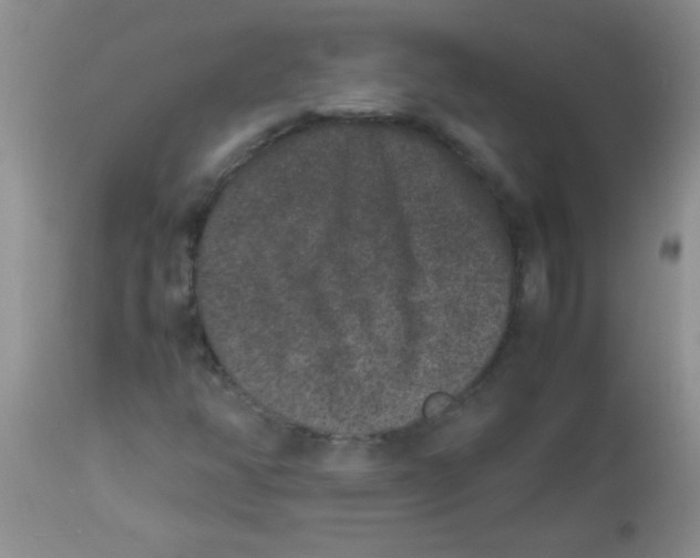 X0000113951350200910231957
