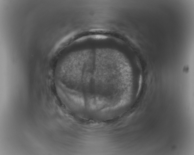 X0000113951351200910231957