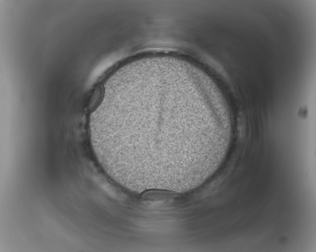 X0000113951352200910231957