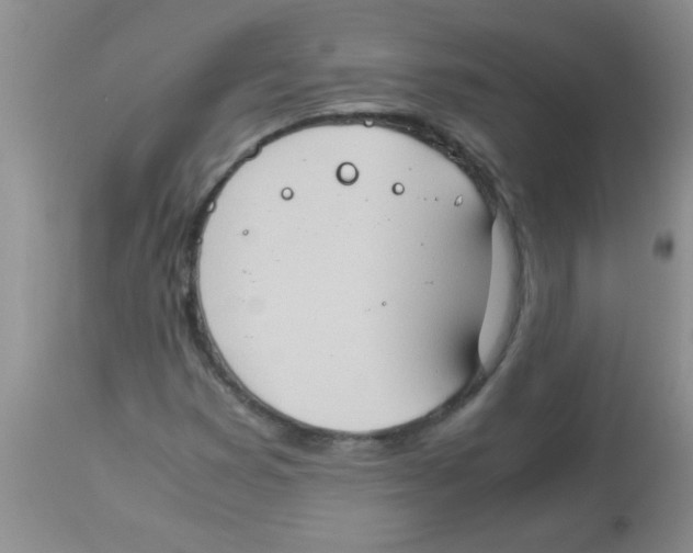 X0000113951353200910231957