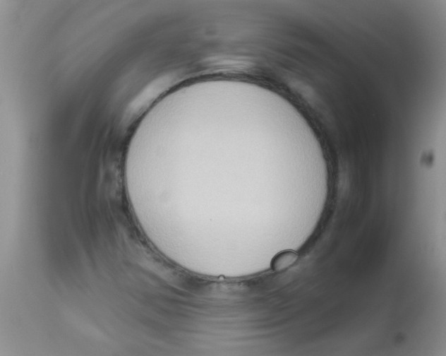 X0000113951354200910231957