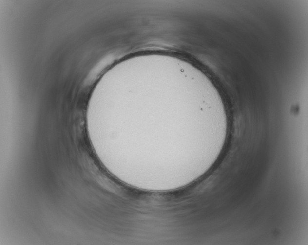X0000113951355200910231957