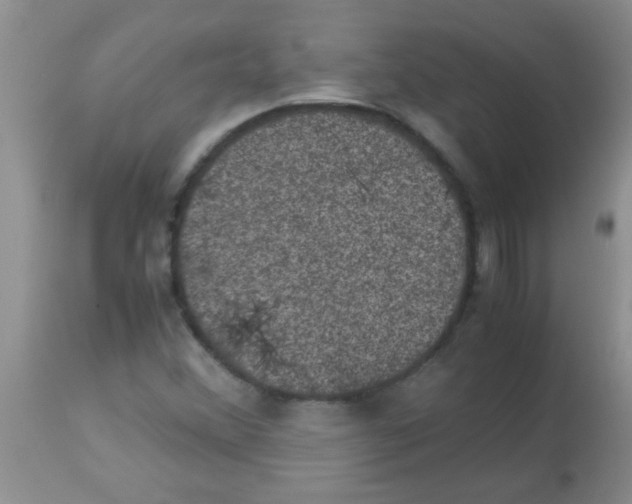 X0000113951356200910231957