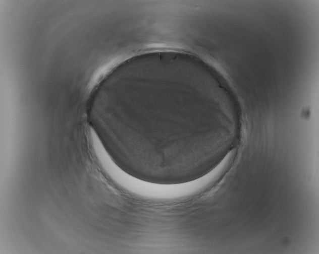 X0000113951357200910231957