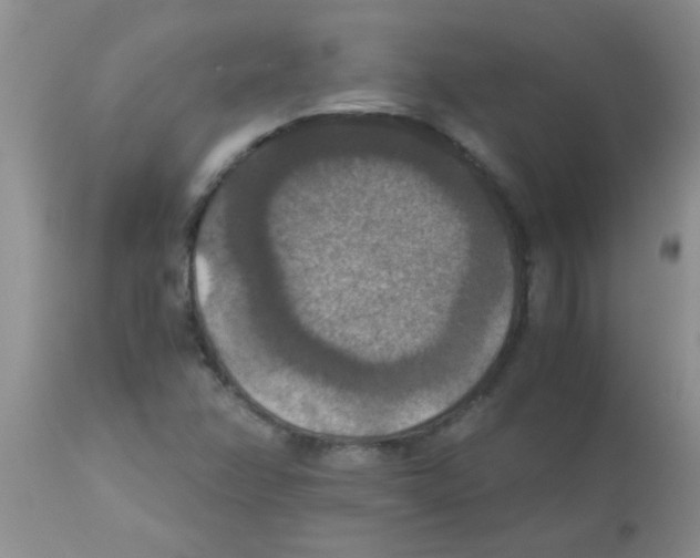 X0000113951358200910231957