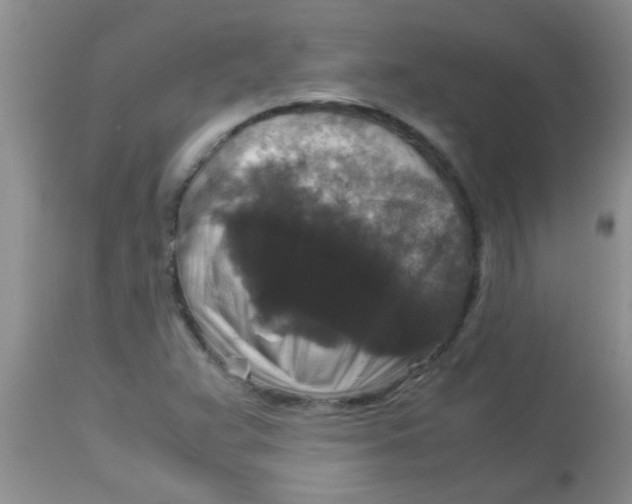 X0000113951359200910231957
