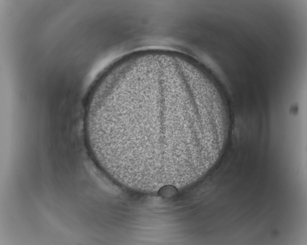 X0000113951360200910231957