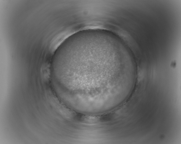 X0000113951361200910231957