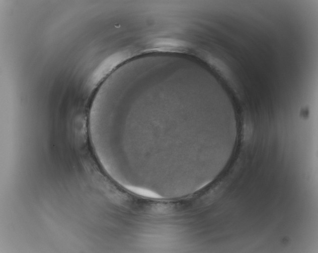 X0000113951362200910231957