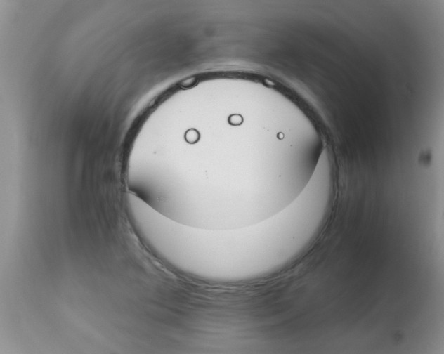 X0000113951364200910231957