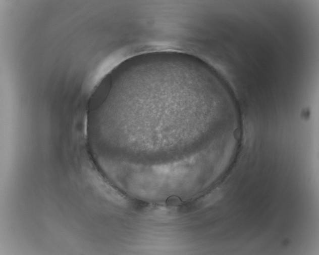 X0000113951365200910231957