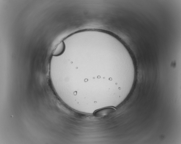 X0000113951366200910231957