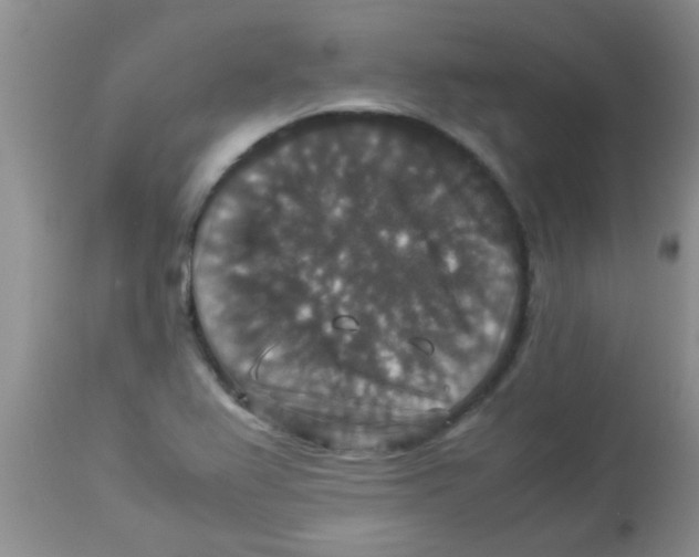 X0000113951367200910231957