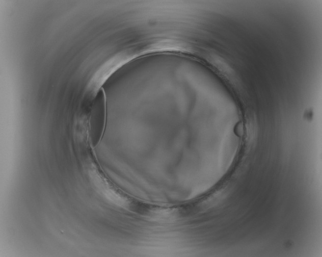 X0000113951369200910231957