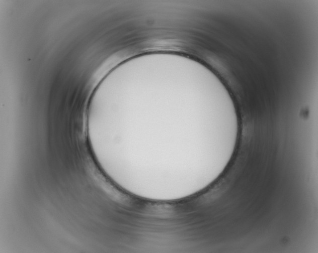 X0000113951370200910231957
