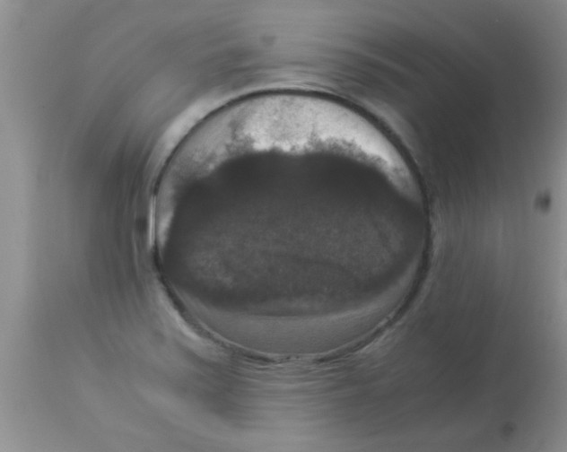 X0000113951371200910231957
