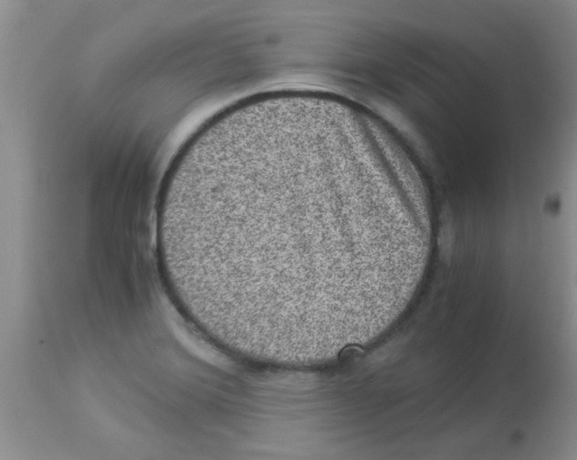 X0000113951372200910231957