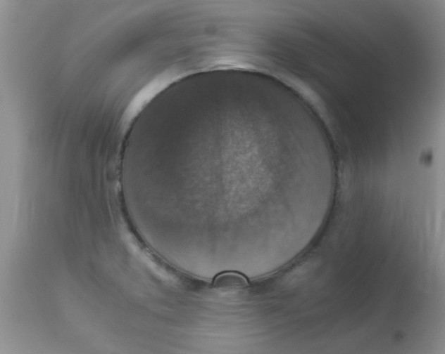 X0000113951373200910231957