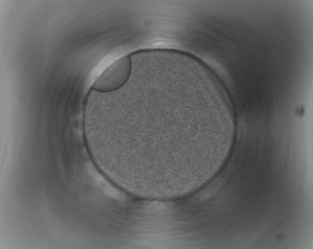 X0000113951374200910231957