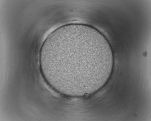 X0000113951375200910231957