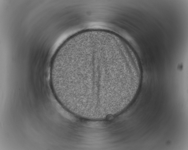 X0000113951376200910231957