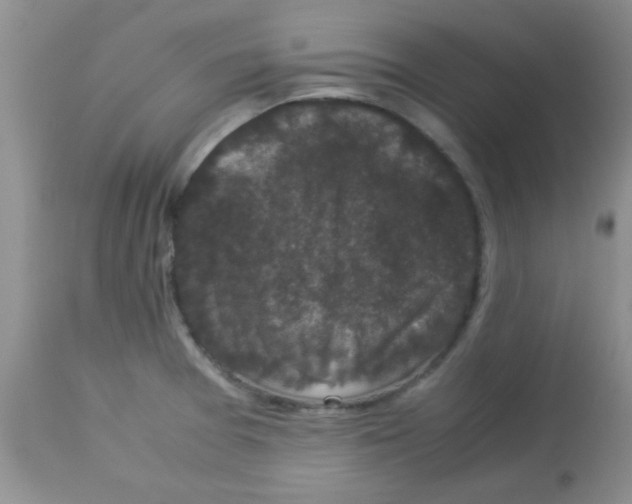 X0000113951377200910231956