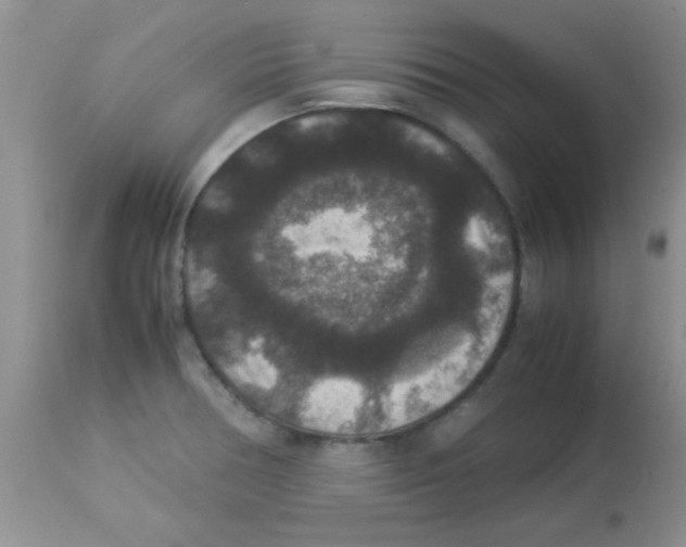 X0000113951378200910231956