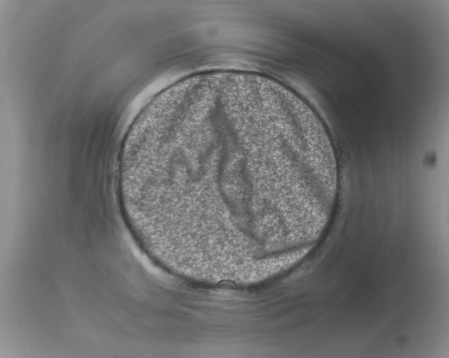 X0000113951379200910231956
