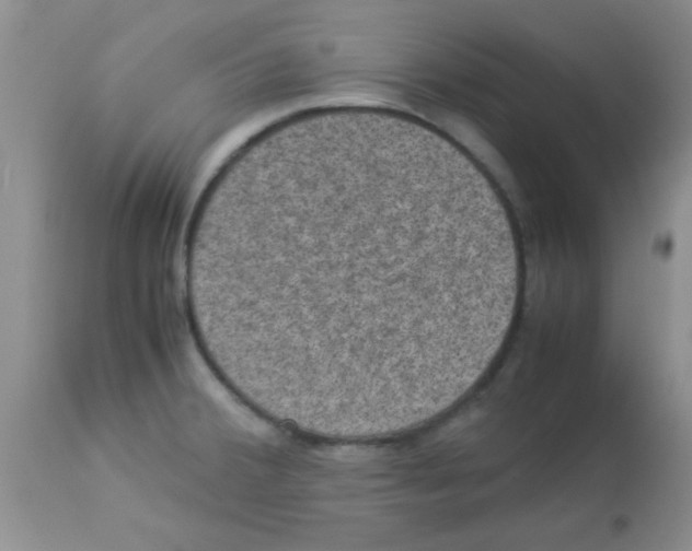 X0000113951380200910231956