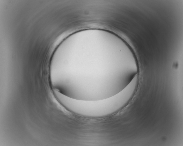 X0000113951381200910231956