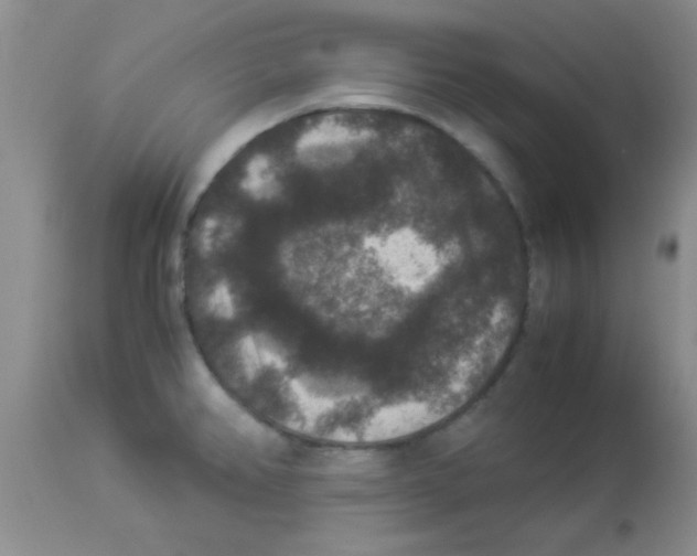 X0000113951382200910231956