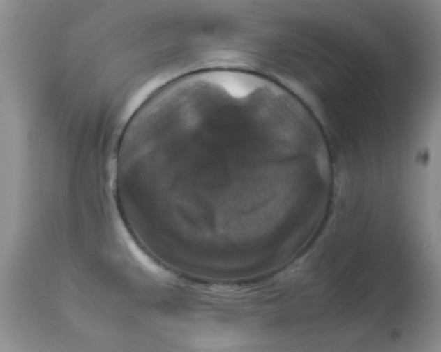 X0000113951383200910231956
