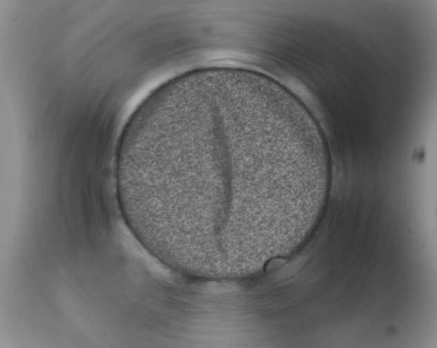 X0000113951384200910231956
