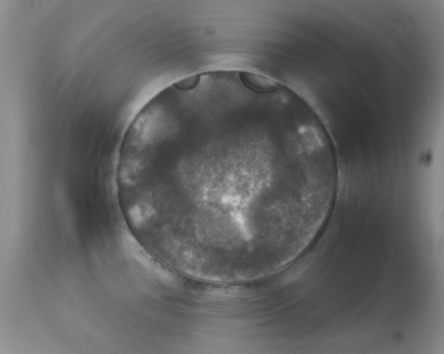 X0000113951386200910231956
