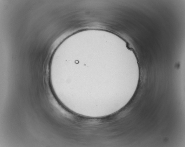 X0000113951387200910231956