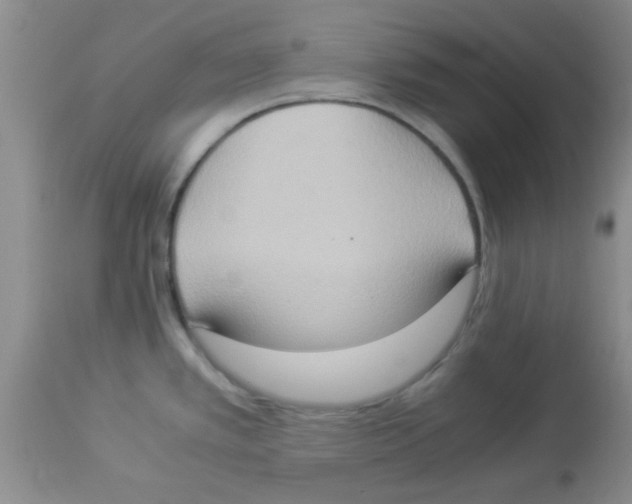 X0000113951389200910231956