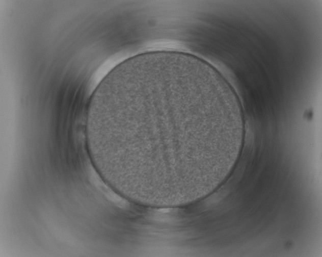 X0000113951390200910231956