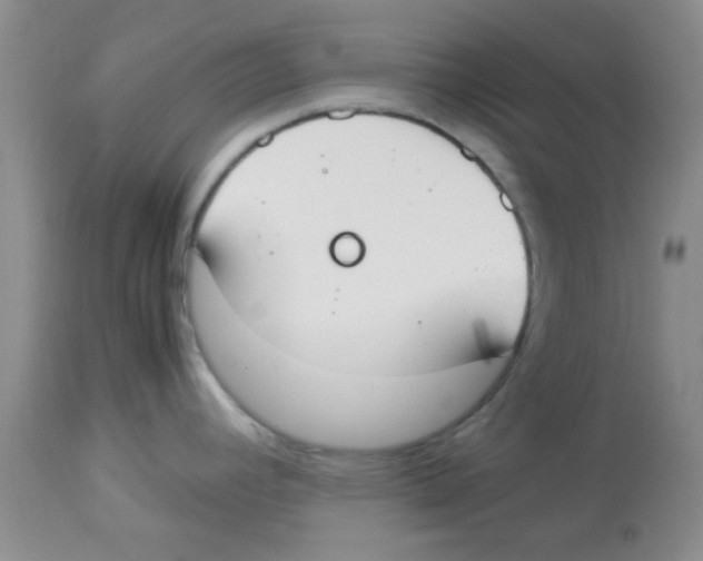 X0000113951392200910231956