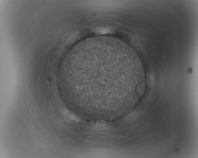 X0000113951393200910231956