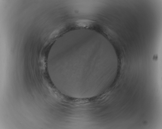 X0000113951394200910231956
