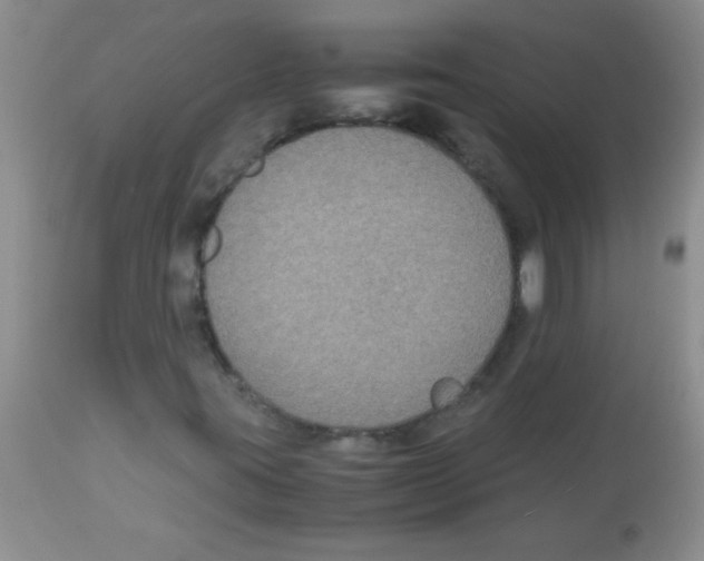 X0000113951395200910231956