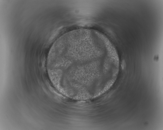 X0000113951396200910231956