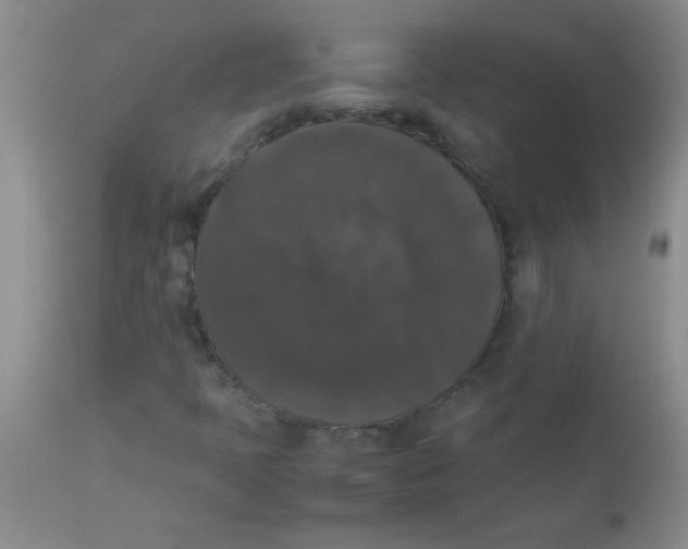 X0000113951397200910231956